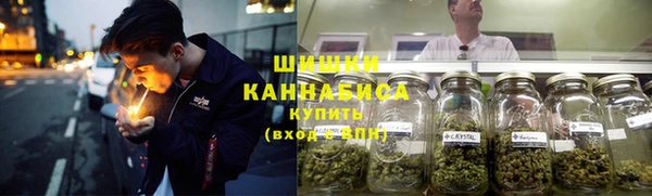 гидра Кукмор