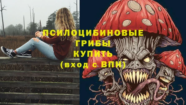 винт Куйбышев